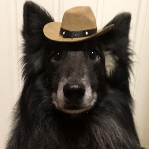 Jakamo